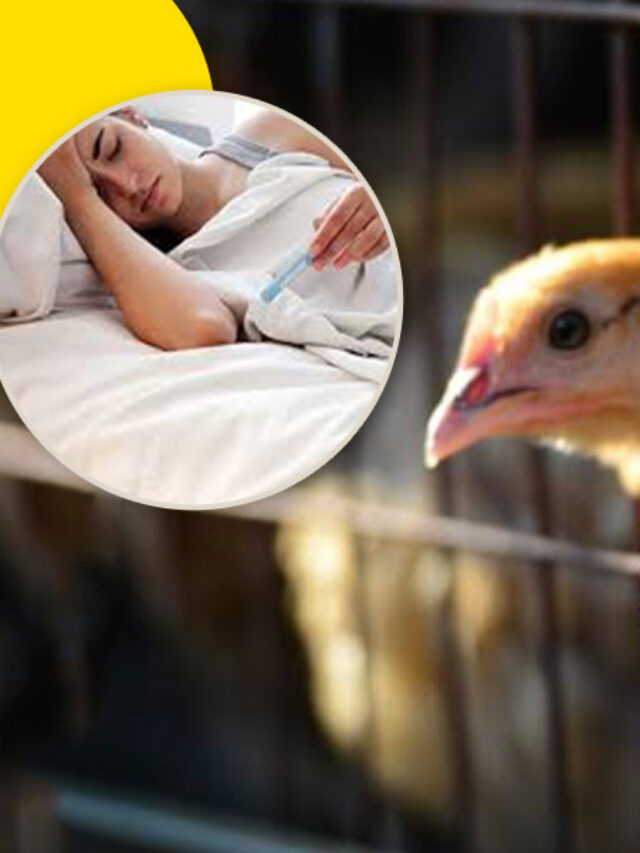 Bird Flu Unveiled: Risks, Spread, and Safety Measures